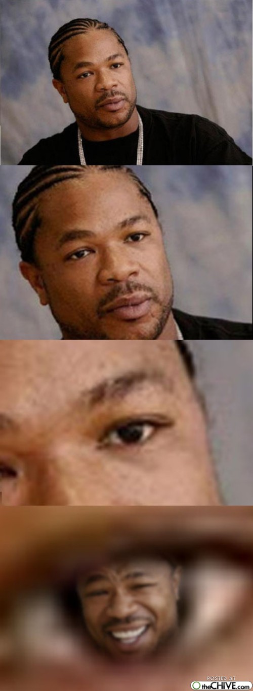 Xzibit смеется