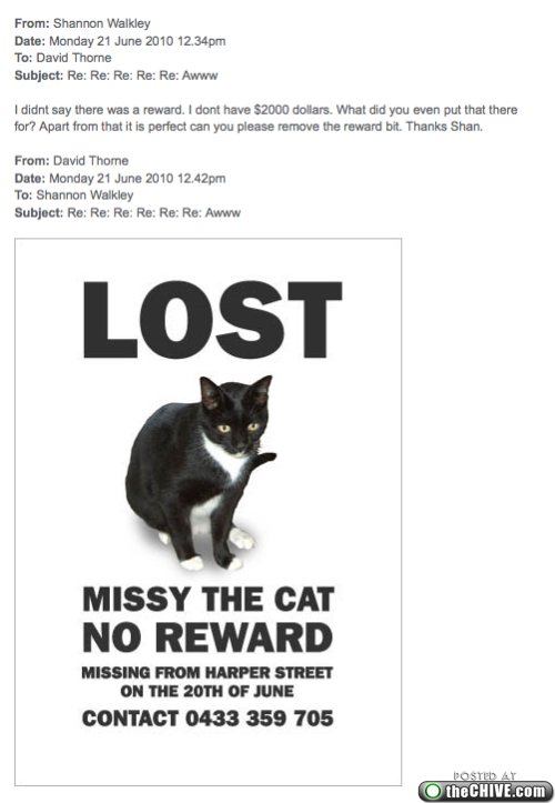 MIssing cat email chain