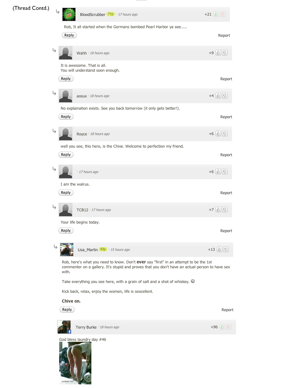 First-time Chiver asks what theCHIVE is. This was your response (3 ...
