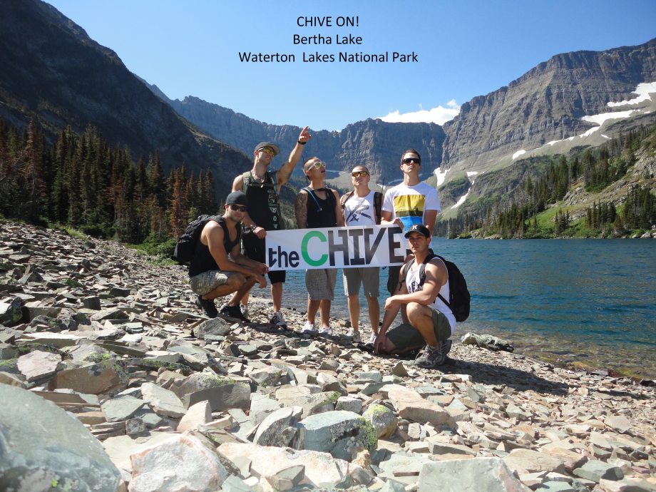 Chive Everywhere (64 Photos)