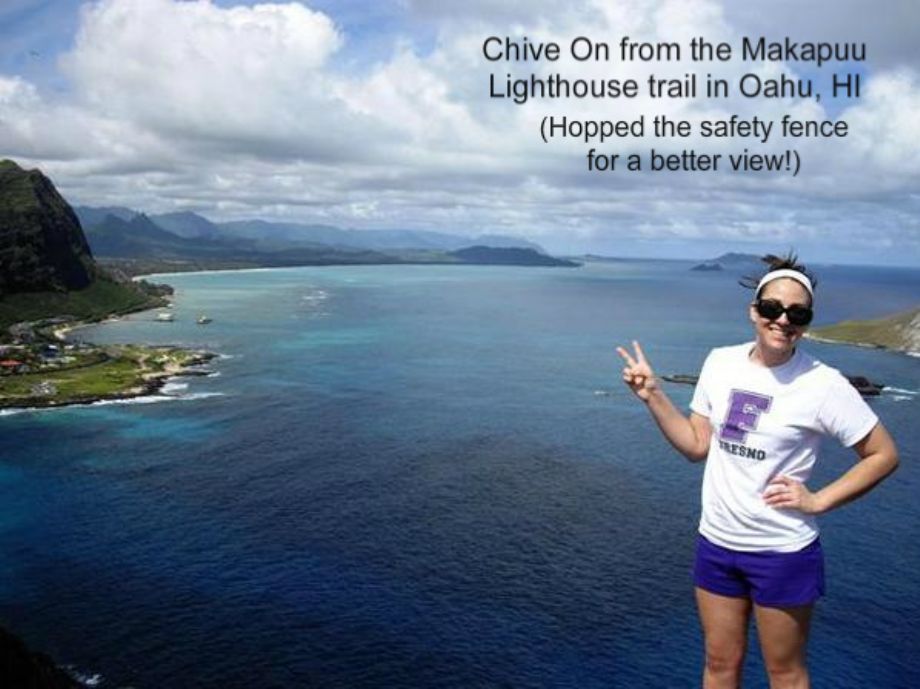 Chive Everywhere (70 Photos)