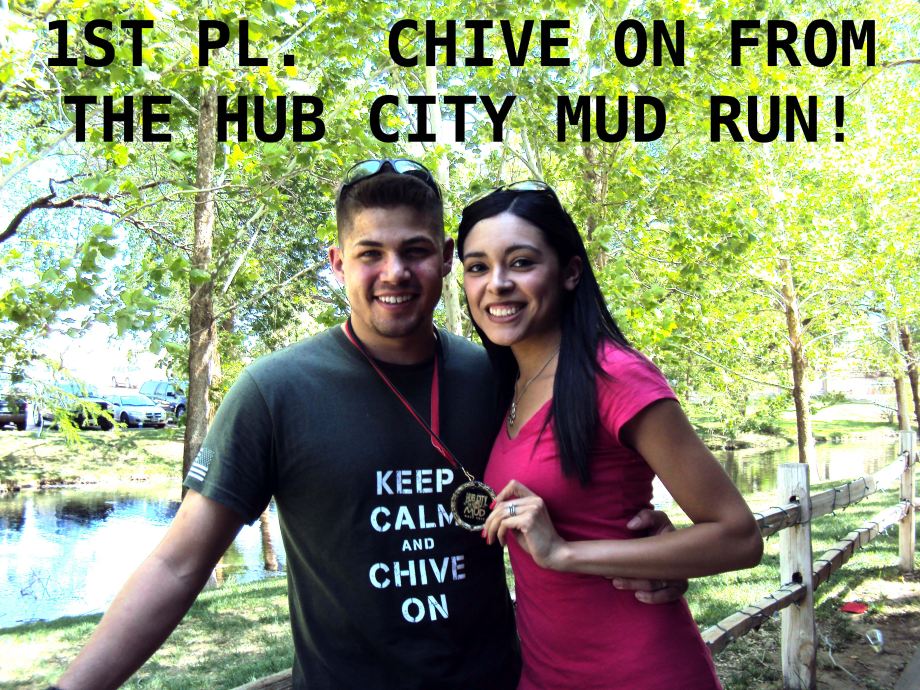 Chive Everywhere (82 Photos)