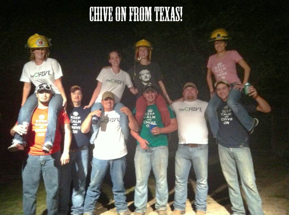 Chive Everywhere (72 Photos)