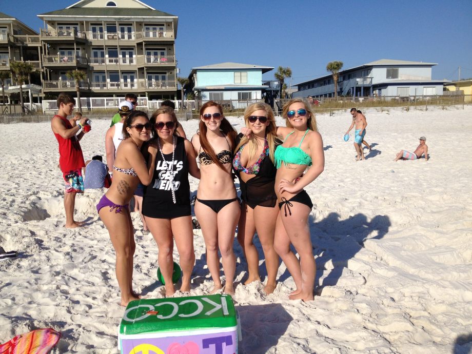 chive-everywhere-86-photos