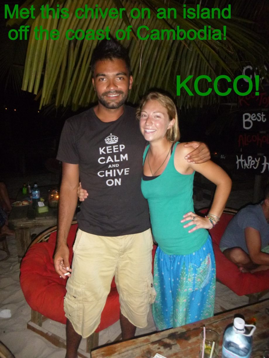 Chive Everywhere (79 HQ Photos)
