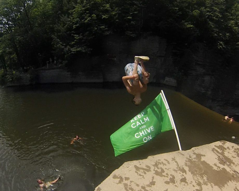 Chive Everywhere (69 HQ Photos)