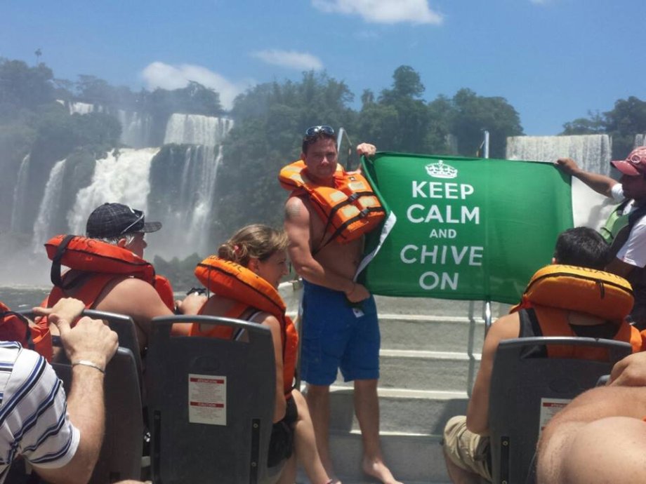 Chive Everywhere (65 HQ Photos)