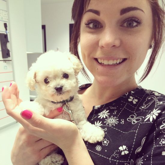 Chivettes bored at work brunette office selfie with pup