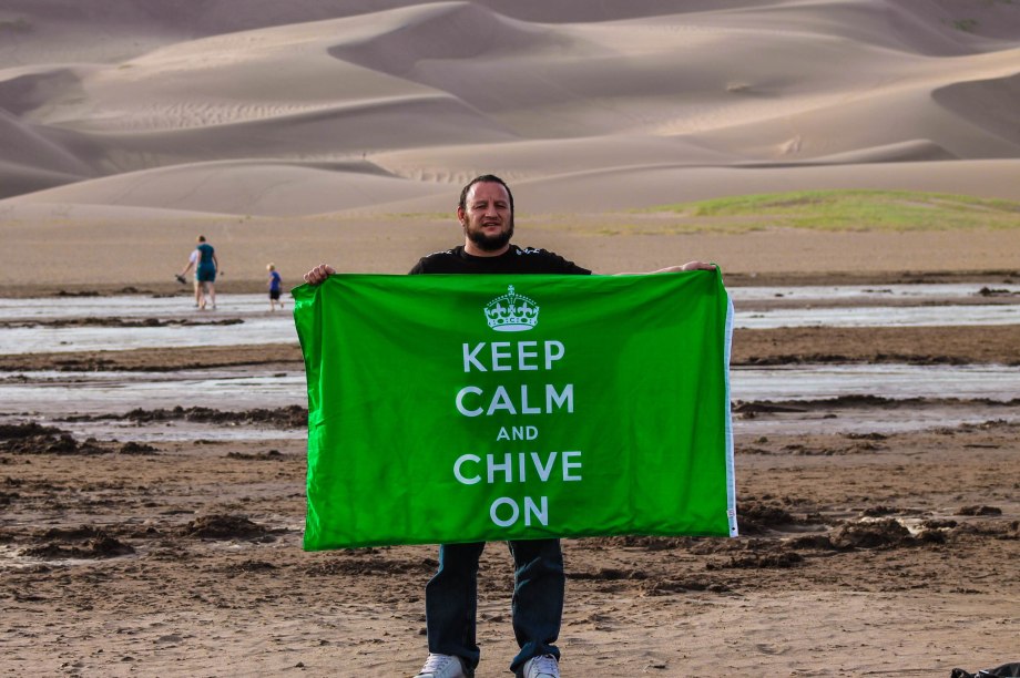 Chive Everywhere (60 HQ Photos)
