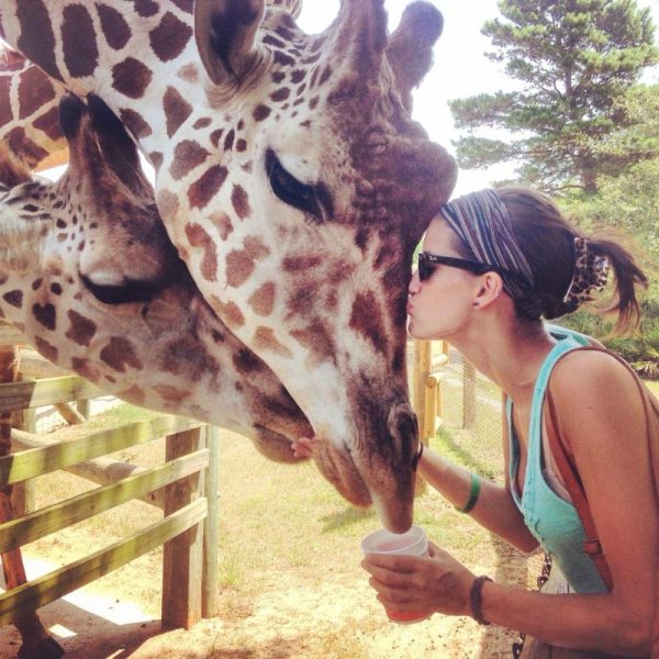 Girl kissing giraffes
