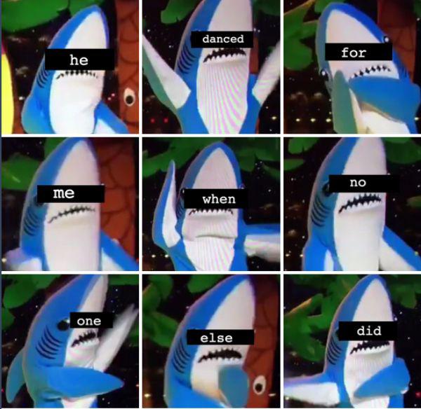 Left shark has taken over the (25 Photos)