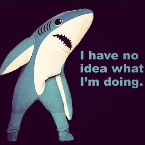 Left shark has taken over the (25 Photos)