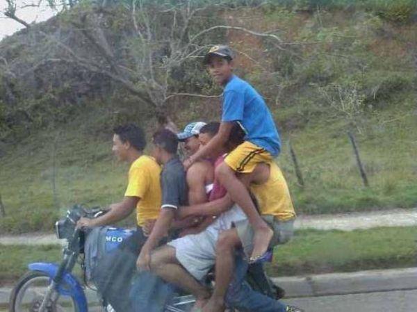 This looks safe (23 Photos)