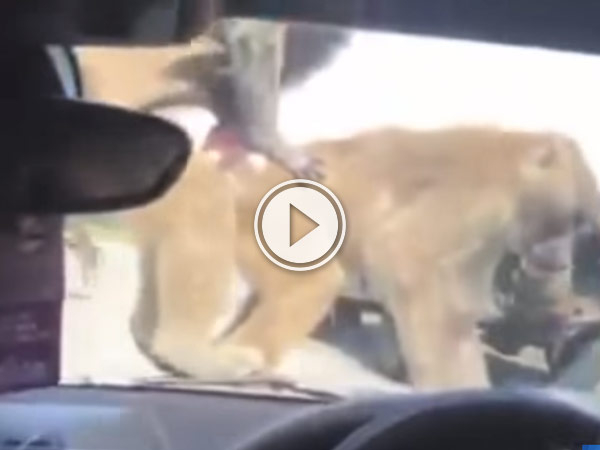 This will be a story for her wedding day I'm sure of it.