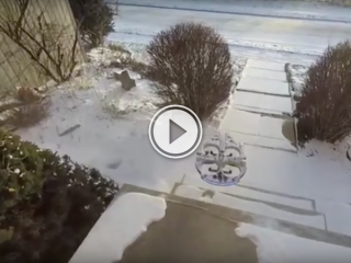 This is how Canadians use their drones; snow removal (Video)