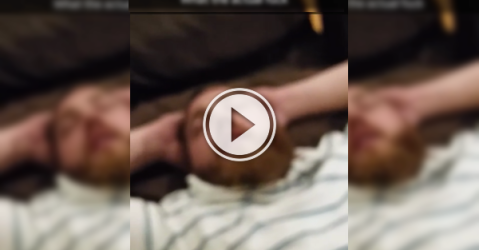 Is this a snore, or an orgasmic animal? We'll never know (Video)