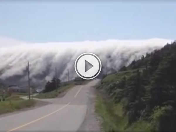 This is how fog rolls to town in Newfoundland; like a tidal wave (Video)