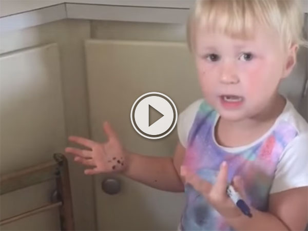 Girl turns sister into a zebra (Video)