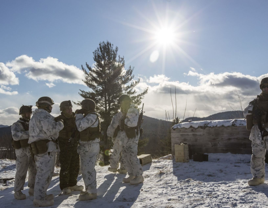 USMC Exercise Nordic Frost (36 HQ photos and video)