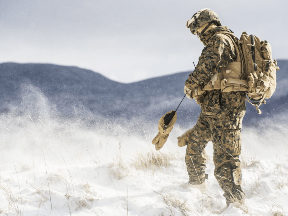 USMC Exercise Nordic Frost (36 HQ photos and video)