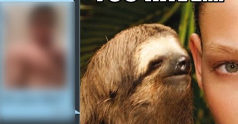 whispering sloth memes