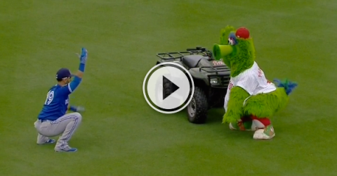 When a Blue Jay challenges a mascot to a workout, fun happens! (Video)