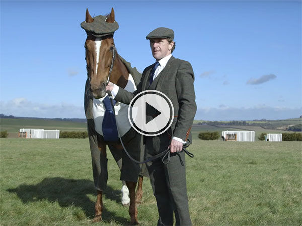 A horse in a tweed suit...(Video)