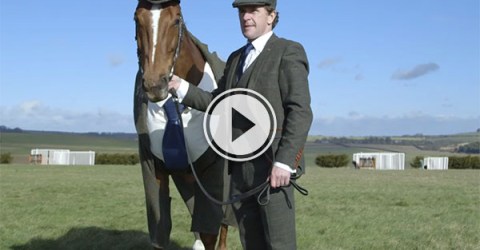 A horse in a tweed suit...(Video)