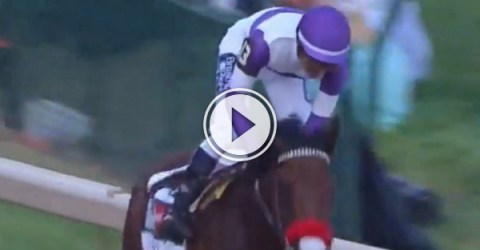 A Canadian horse wins one of horse racing's biggest events! (Video)