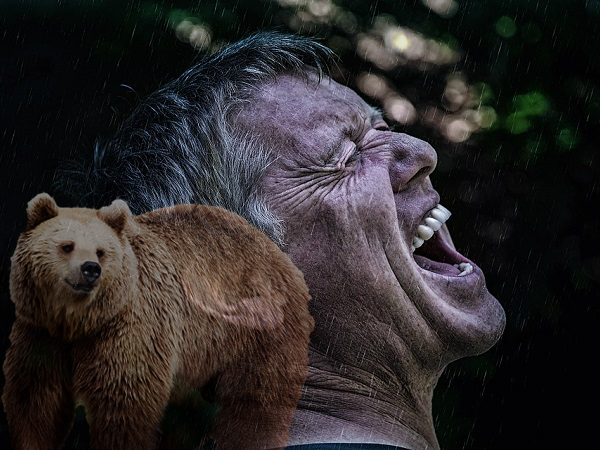 Hiker hilariously thinks bear kills itself (Video)