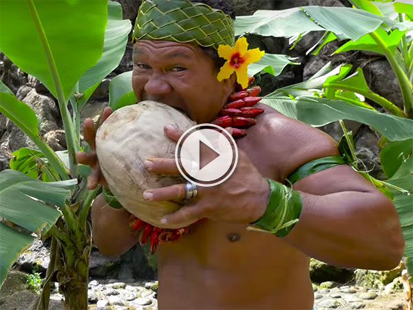 The many ways to open a coconut (Video)