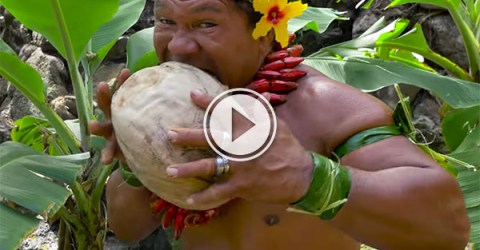 The many ways to open a coconut (Video)
