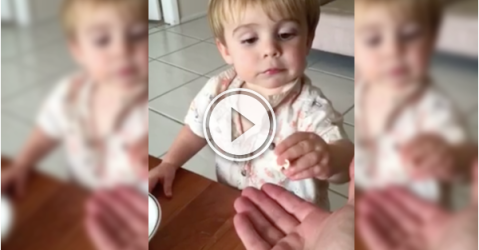 Cute kid doesn't really want to share his cereal with his dad (Video)