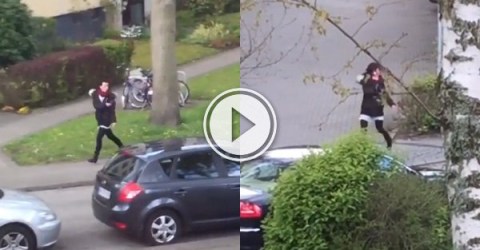 Crazy-ass squirrel chases down street (Video)