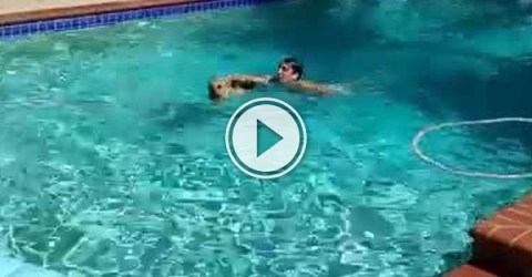 A dog and man swimming in pool.