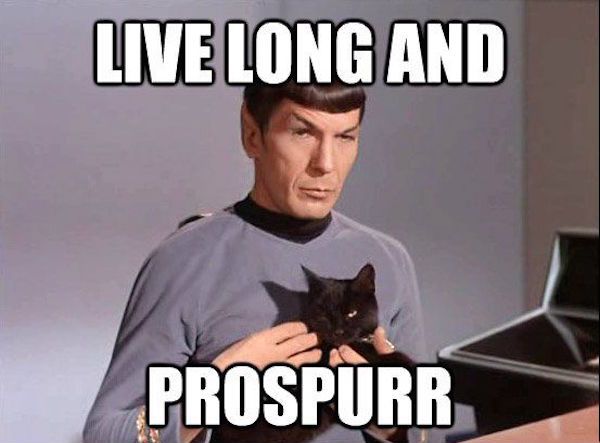Funny Star Trek memes (41 Photos)