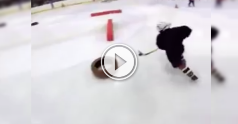 These 7-year old hockey trainees are coming for your girl (Video)