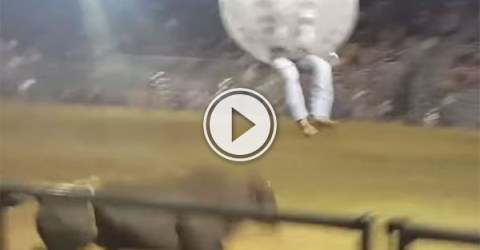 Zorb Soccer Rodeo is totally insane (Video)