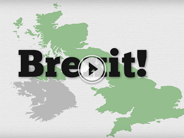 BREXIT summarised..Briefly (Video)