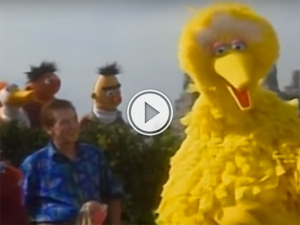 Summertime Sesame Street mash up is awesome (Video)