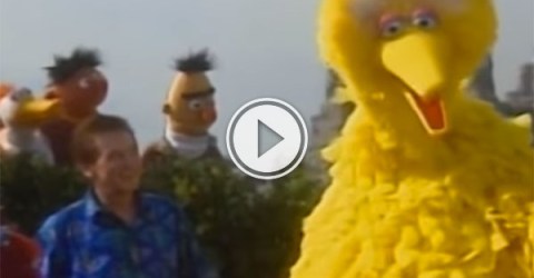 Summertime Sesame Street mash up is awesome (Video)