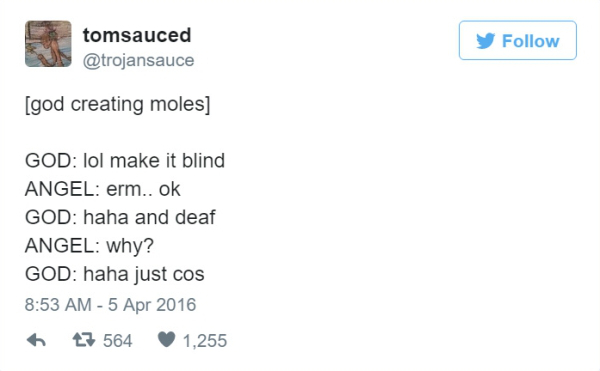 Tweets that perfectly explain how God created specific animals