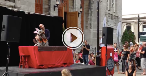 In Quebec, we get inappropriate and NSFW puppet shows! (Video)