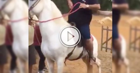 At least getting off the horse wasn't as hard as getting on (Video)