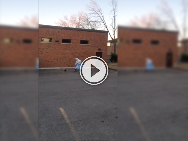 Ontario paramedic dons Ebola gear to lend a hand to a skunk (Video)