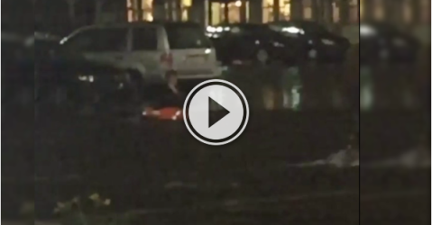 When it rains in Montreal, then dudes and Kayaks come out! (Video)