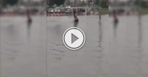 Wonder if this guy is offering a Jet Ski taxi service? (Video)