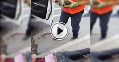 Diving into a sewer isn't a big deal, if it means saving a kitty! (Video)