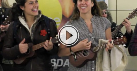When suddenly a mob of happy, singing ukulele singers appeared! (Video)