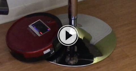 Today, we catch the elusive Roomba mating ritual! (Video)